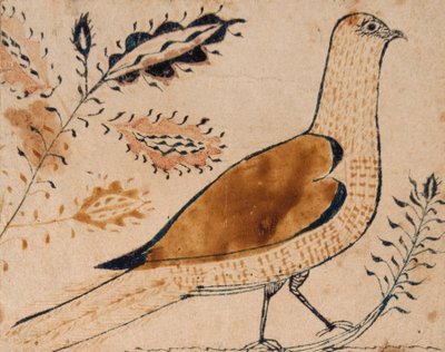Pájaro de American School