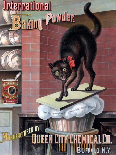 Black Cat Awakened by Rising Bread Dough, c.1885 (cromolitografía) de American School
