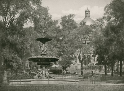 Boston Common de American School