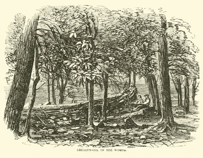 Parapeto en el bosque, julio 1863 de American School
