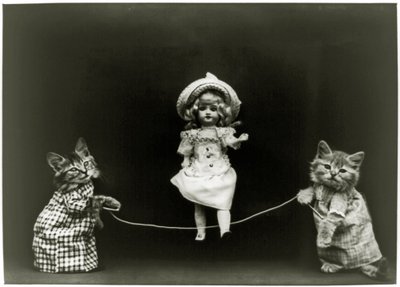 Curiosidad del gato, 1891 de American School