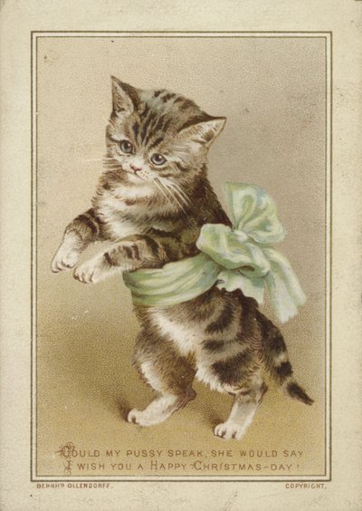 Gato con lazo verde de American School