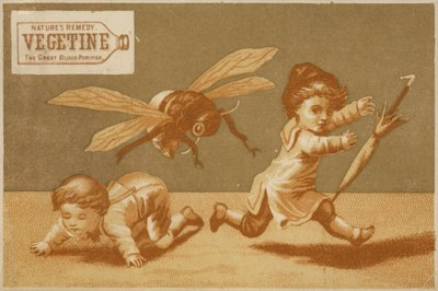 Niños siendo perseguidos por una abeja de American School