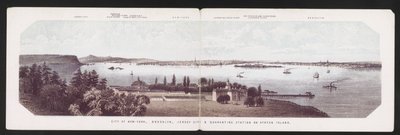 Ciudad de Nueva York, Brooklyn, Jersey City y Estación de Cuarentena en Staten Island, c.1850 (litografía en color) de American School