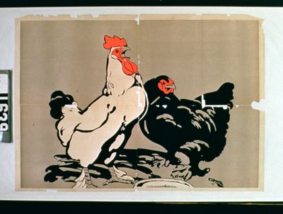 Gallo y Gallina de American School