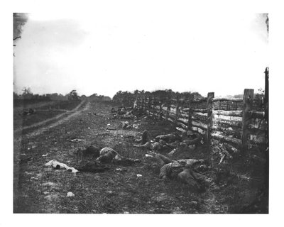 Muertos confederados a lo largo del lado oeste de Hagerstown Pike, Batalla de Antietam, 19 de septiembre de 1862 de American School