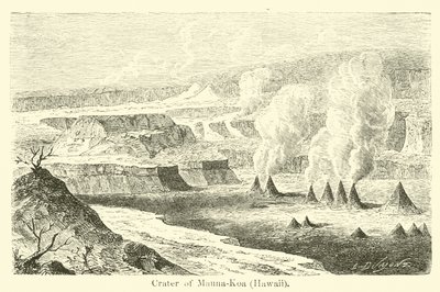 Cráter de Mauna-Koa, Hawái de American School