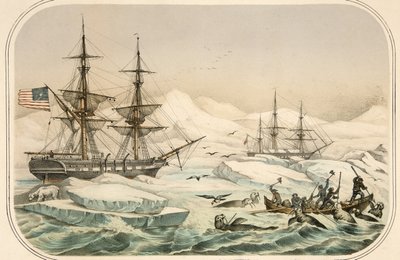 Tripulación de un barco ballenero atacada por morsas, pub. (litografía en color) de American School