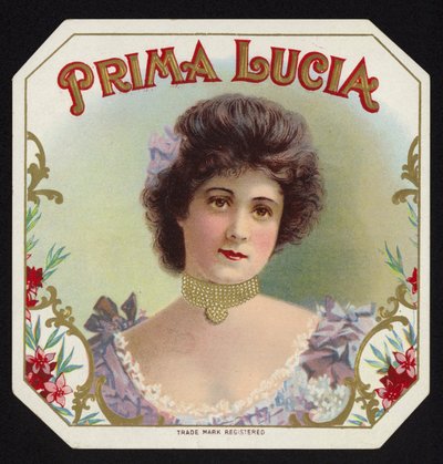 Dama recatada de American School