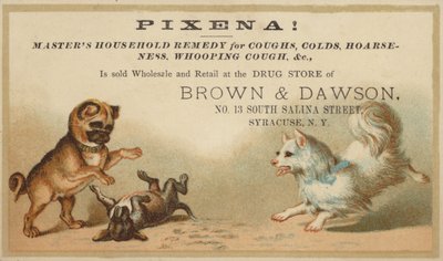 Perros jugando juntos de American School