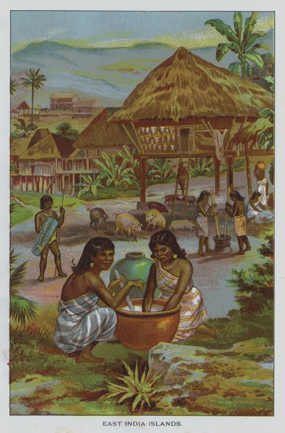 Islas de la India Oriental de American School