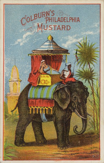 Paseo en elefante de American School