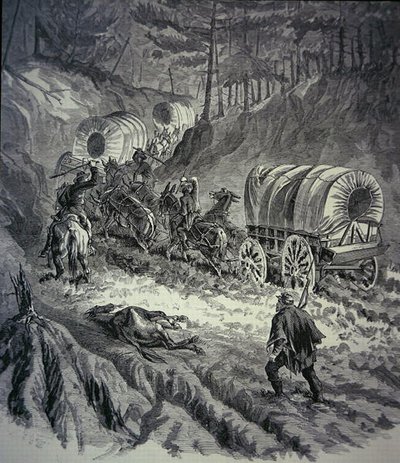 Tren federal de equipaje (lito) de American School
