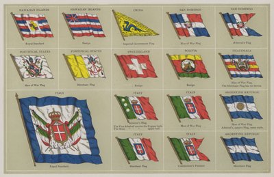 Banderas de American School
