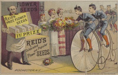 Semillas de flores (chromolitho) de American School