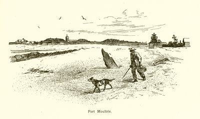 Fuerte Moultrie de American School