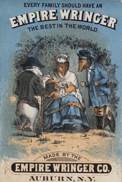 Zorros con ropa y cachorro de American School
