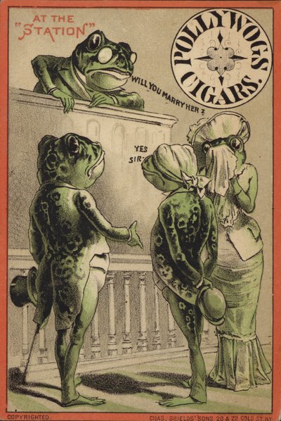 Ranas casándose en la estación de American School