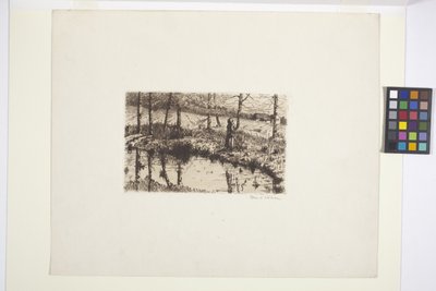 Chica junto al estanque (tinta) de American School