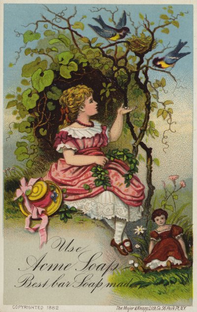Niña alimentando pájaros de American School