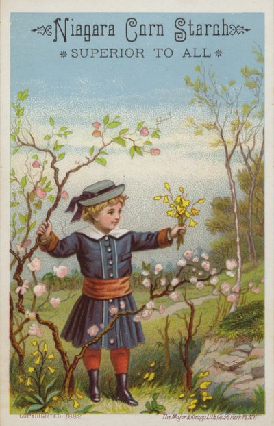 Niña sosteniendo ramo de flores en el campo de American School