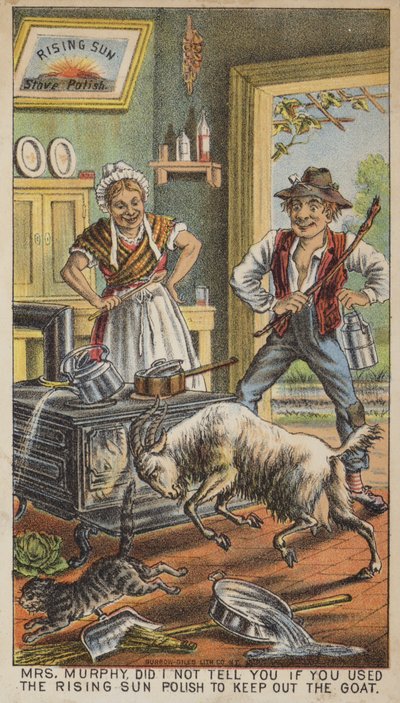 Cabra Persiguiendo a Gato en la Cocina de American School