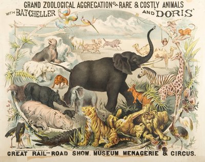 Gran Agregación Zoológica de Animales Raros y Costosos con Batcheller y Doris (cromolitografía) de American School