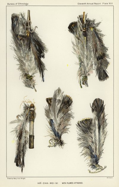 Ha-Cha-Mo-Ni con plumas adjuntas de American School