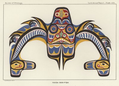 Pez perro Haida de American School