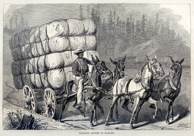 Transportando Algodón al Mercado, de Cien Años de Progreso de los Estados Unidos, pub. 1871 de American School