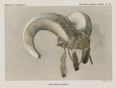 Tocado de Aloska de American School