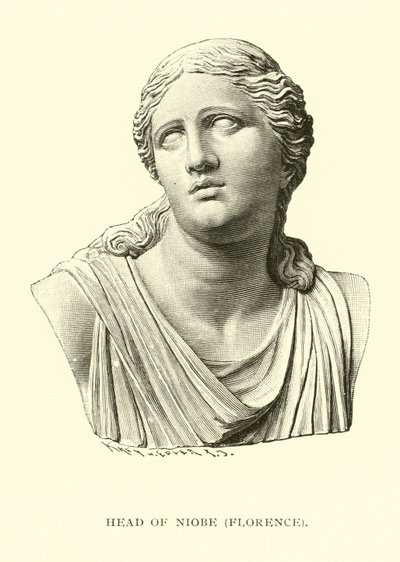 Cabeza de Níobe, Florencia de American School