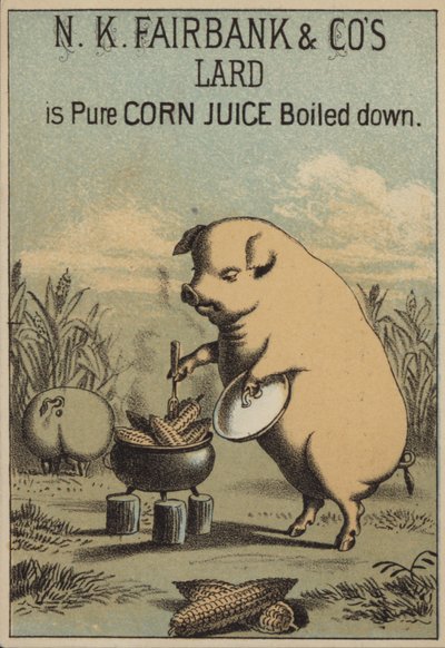 Cerdo cocinando maíz para hacer manteca de American School