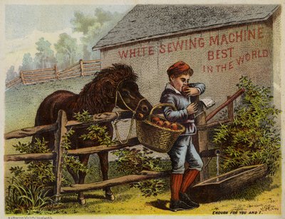 Caballo y niño comiendo manzanas de American School
