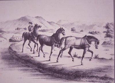 Caballos tirando de un barco de canal en el Canal Erie (grabado) de American School