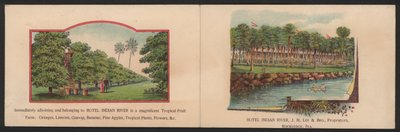 Tarjeta comercial de hotel de American School