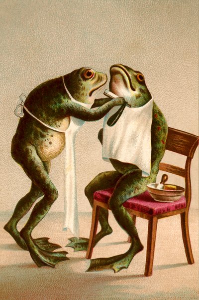 Ilustración humorística de una rana afeitándose de American School