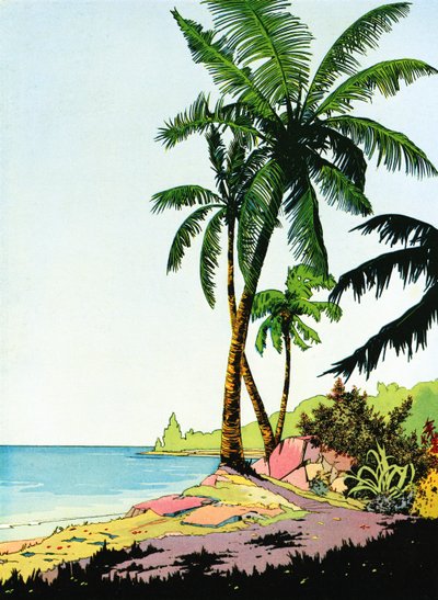 Ilustración de paraíso de playa con palmeras de American School