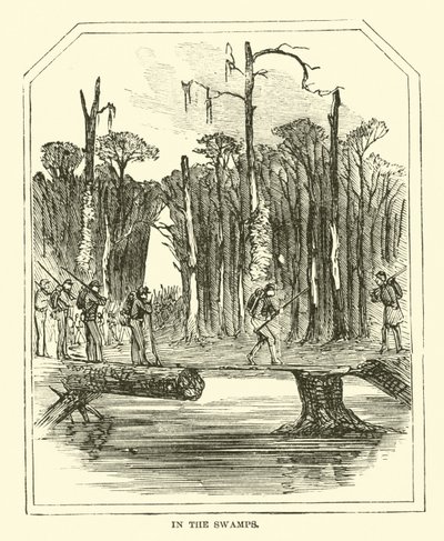En los pantanos, marzo 1863 de American School