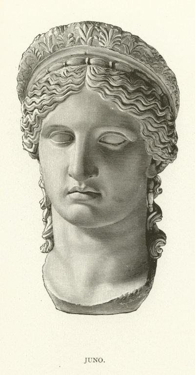 Juno de American School