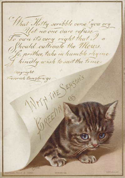 Gatito escondiéndose bajo una carta de American School
