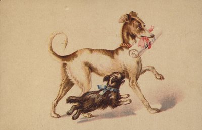 Perro grande y pequeño corriendo de American School