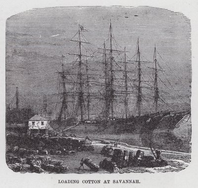 Cargando algodón en Savannah de American School