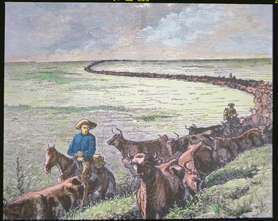 Conducción de ganado Longhorn de Texas a Abilene, Kansas, c.1870s de American School
