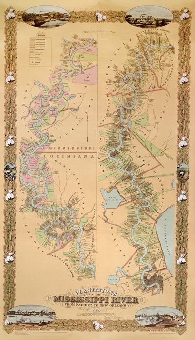 Mapa que representa las plantaciones en el río Mississippi desde Natchez hasta Nueva Orleans, 1858 de American School
