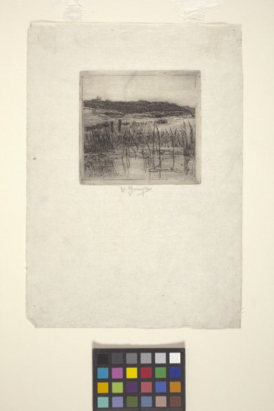Marsh (grabado) de American School