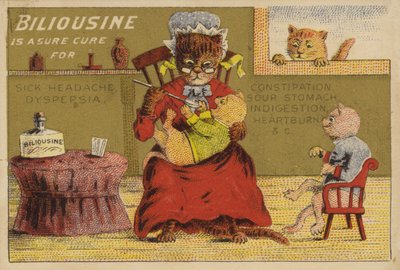 Hora de la medicina para los gatos de American School