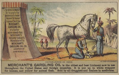 Aceite de Gargling del Comerciante de American School