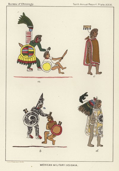 Insignias militares mexicanas de American School