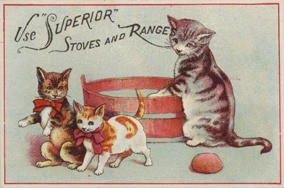 Gata madre con gatitos de American School